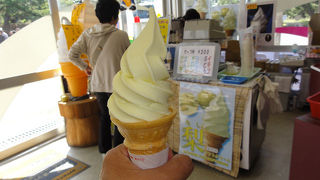 ご当地ソフト、竹輪を食べました。