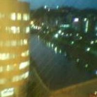 客室からの眺め