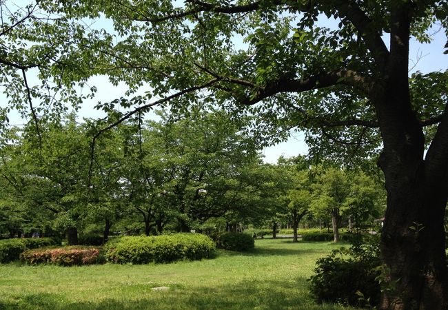 隣に大きな公園あり