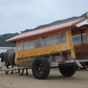 観光地化されているけど水牛車はおススメ！