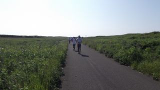 ワッカ原生花園 