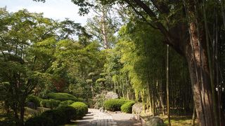 素晴らしい庭園です