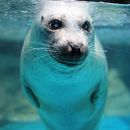 アクアワールド茨城県大洗水族館