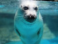 アクアワールド茨城県大洗水族館