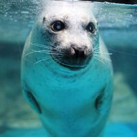 アクアワールド茨城県大洗水族館