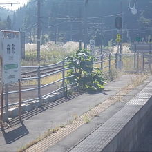 駅ホームの様子