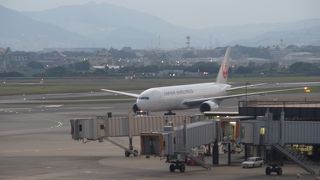 初上陸しました