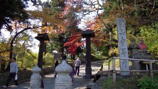 行ってみたかった中尊寺