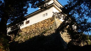 キチンとしたお城