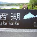 富士五湖の西湖