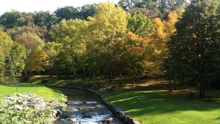 自然に親しむ一日