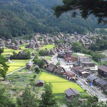 遠くから見るといいね