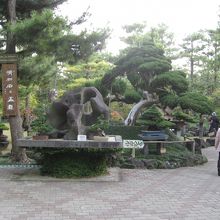 韓国風の石と樹木の庭園-1