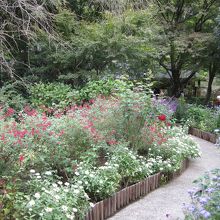 トイレまでと思えないくらいきれいです。