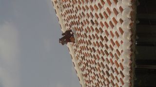 屋根の上のシーサーも注目