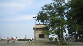 あおばじょうし