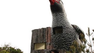 不思議な展望台