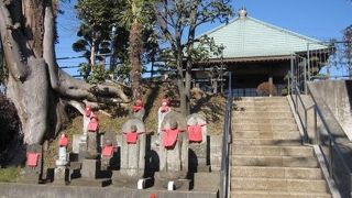 よこはま青葉区歴史めぐり (Cコース)