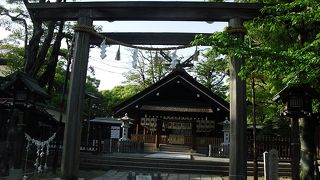 ヤマトタケルが白鳥になってついたところ