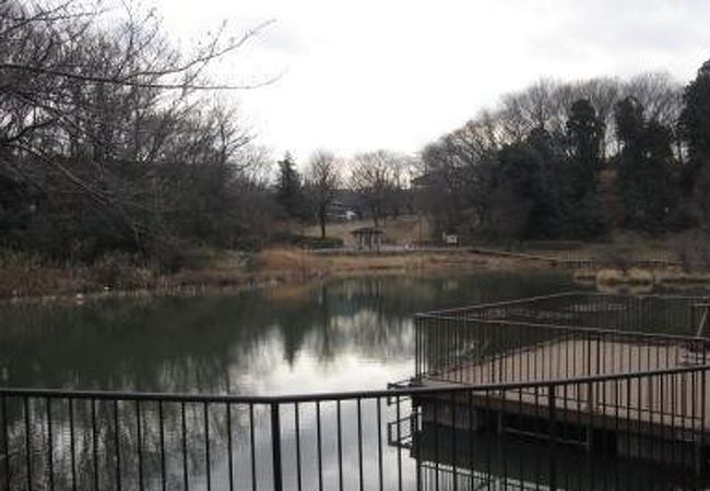 Dコースは、フェアリィランドと呼ばれた丘に沿って歩くコースです。