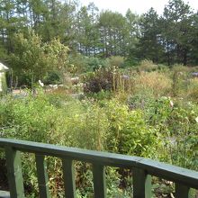 見渡す庭にも秋が、