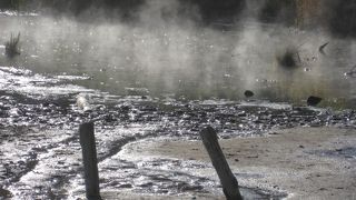 興味引かれる光景です。