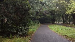 サイクリングに。