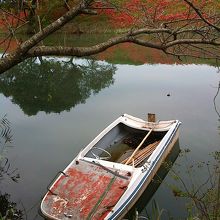 津屋川の寂れたボートと堤防沿いの彼岸花。