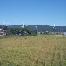青空と黄金色の田園風景に風車が映えていました