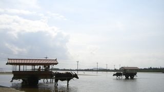 水牛車はリクエストを！