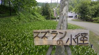 スズランの小径