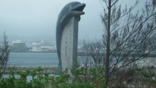 きれいな水族館！