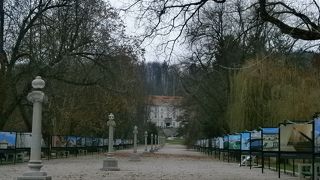 のんびり散歩できます♪