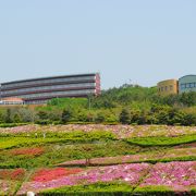 葉山の丘の上にすてきな公園が広がっています。