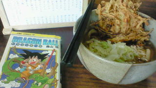 浅間神社で富士山を眺めた後に立ち寄れる吉田のうどん屋