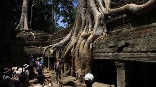 神秘的なので必ず訪れたい