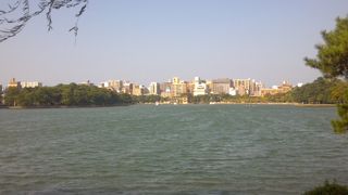 綺麗な水辺をウォーキング