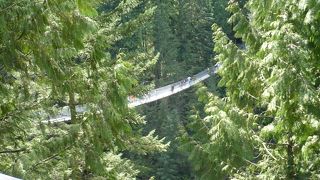 迫力ある吊り橋を渡ってバンクーバーの自然を満喫できる森林浴！