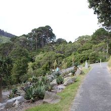 ちょうどよい散歩道