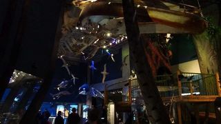 これで無料とは信じられない