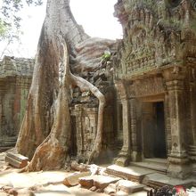 自然が作り出した芸術に☆大興奮♪