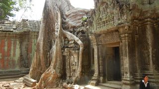 ☆1,2を争う人気スポット☆