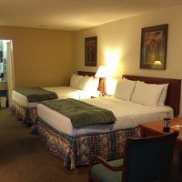 普通に素泊まりするなら十分のホテル