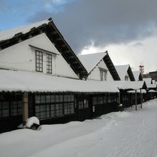 雪の中に佇んでいます