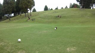 ４５ホールの名阪チサンカントリークラブ