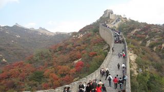 八達嶺は紅葉で最高の気分