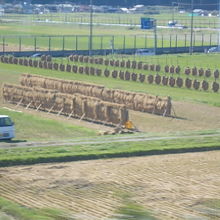 整然と並ぶ稲掛けがとても美しかったです