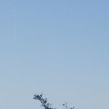 空には飛んでいる人も…（笑）