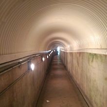 エレベータを降りるとトンネルです。