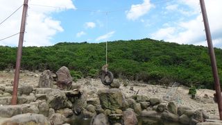 餌やりが楽しい